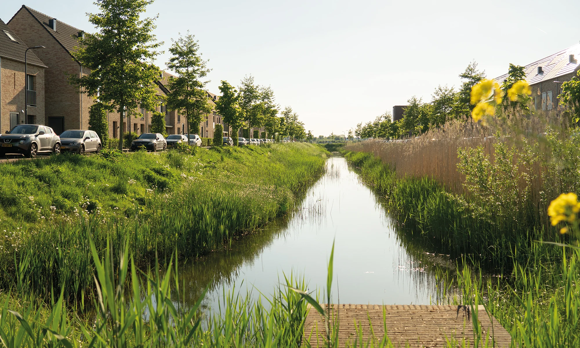 Jouw volgende stap in De Groote Wielen